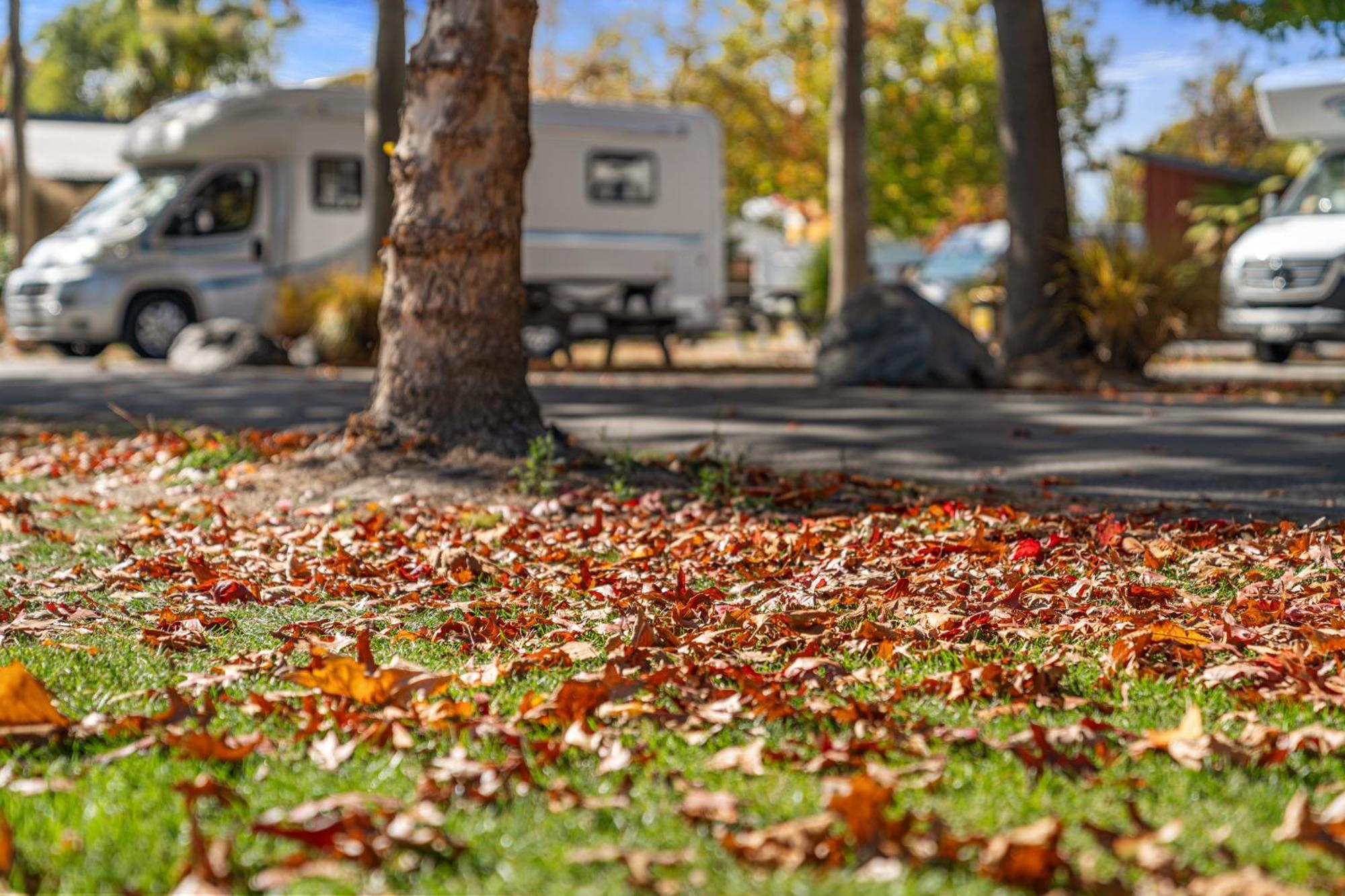 Tasman Holiday Parks - כרייסטצ'רץ' מראה חיצוני תמונה Autumn leaves on the ground